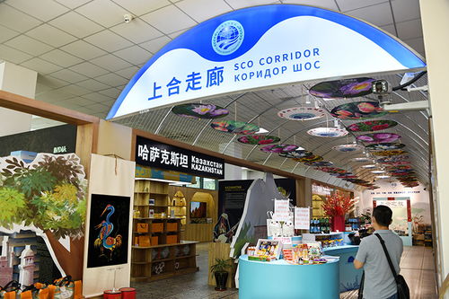 務實合作 互利共贏 中國上海合作組織地方經貿合作示范區(qū)五周年觀察